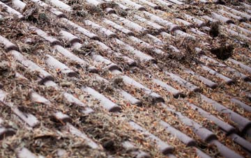 Fraddon roof cleaning companies